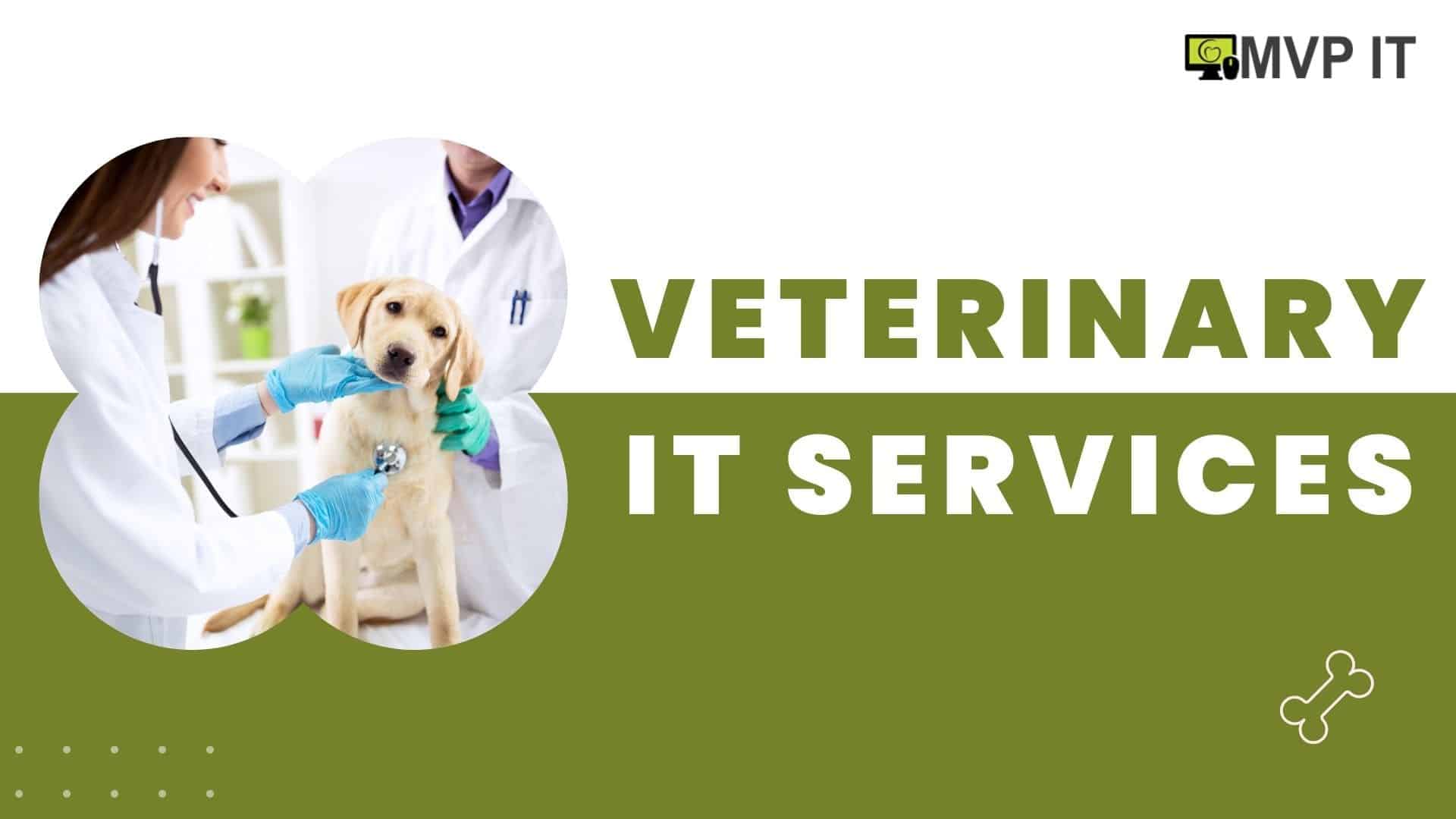 IT Services for Calgary Veterinary