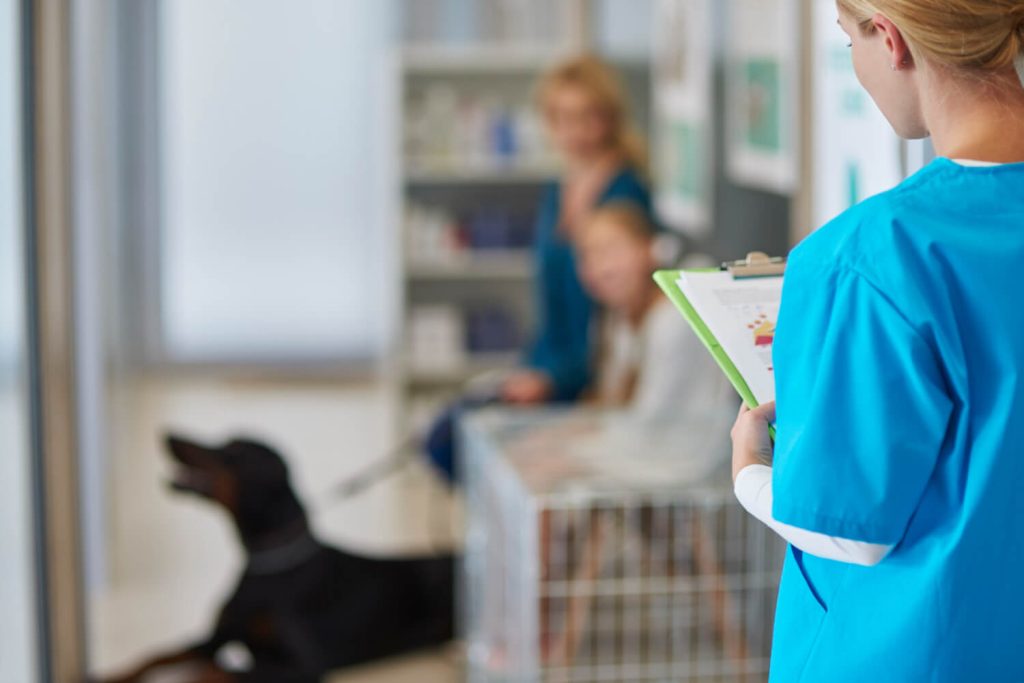 Dental IT Support in Calgary